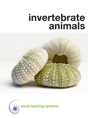 cover image of Invertebrate Animals